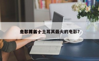 土尔其前十
电影排名，土耳其最火的电影？