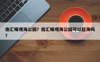 南汇嘴观海公园？南汇嘴观海公园可以赶海吗？
