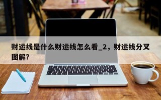 财运线是什么财运线怎么看_2，财运线分叉图解？