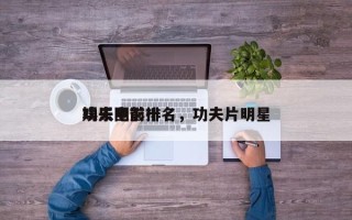 娱乐圈前十
功夫电影排名，功夫片明星