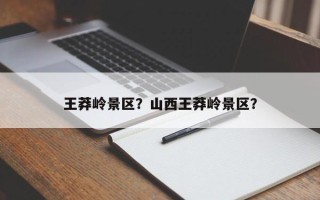 王莽岭景区？山西王莽岭景区？