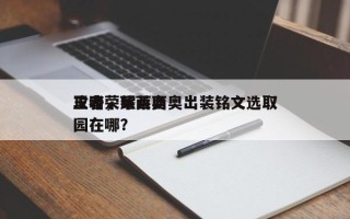 王者荣耀莱西奥出装铭文选取
攻略，莱西奥园在哪？