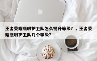 王者荣耀鹰眼护卫队怎么提升等级？，王者荣耀鹰眼护卫队几个等级？