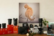 影视大全播放器免费下载最新版