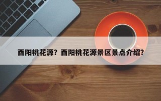 酉阳桃花源？酉阳桃花源景区景点介绍？