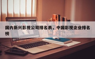 国内新兴影视公司排名表，中国影视企业排名
榜