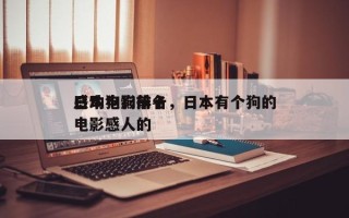 日本狗狗前十
感动电影排名，日本有个狗的电影感人的