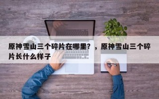 原神雪山三个碎片在哪里？，原神雪山三个碎片长什么样子