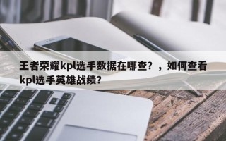 王者荣耀kpl选手数据在哪查？，如何查看kpl选手英雄战绩？