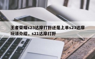 王者荣耀s23达摩打野还是上单s23达摩玩法介绍，s21达摩打野