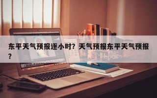 东平天气预报逐小时？天气预报东平天气预报？