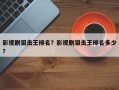 影视剧狙击王排名？影视剧狙击王排名多少
？