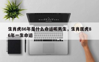 生肖虎86年是什么命运呢男生，生肖属虎86年一生命运
