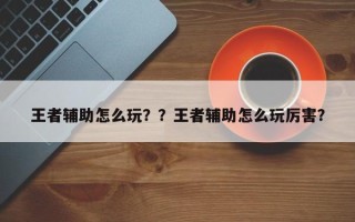 王者辅助怎么玩？？王者辅助怎么玩厉害？