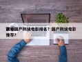 前十
顶级国产刑侦电影排名？国产刑侦电影推荐？