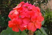 beautiful｜beautiful｜刹那芳华