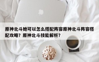 原神北斗她可以怎么搭配阵容原神北斗阵容搭配攻略？原神北斗技能解析？