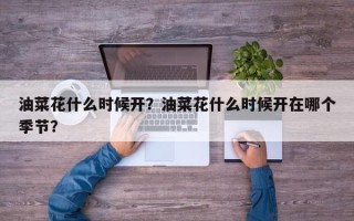 油菜花什么时候开？油菜花什么时候开在哪个季节？