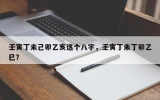 壬寅丁未己卯乙亥这个八字，壬寅丁未丁卯乙巳？