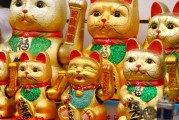 海贼王中文国语版全集