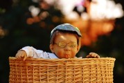 一片冰心在玉壶电视剧免费观看