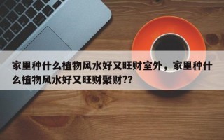 家里种什么植物风水好又旺财室外，家里种什么植物风水好又旺财聚财?？