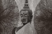 乾隆故意弄痛如懿，凌云彻亲闻