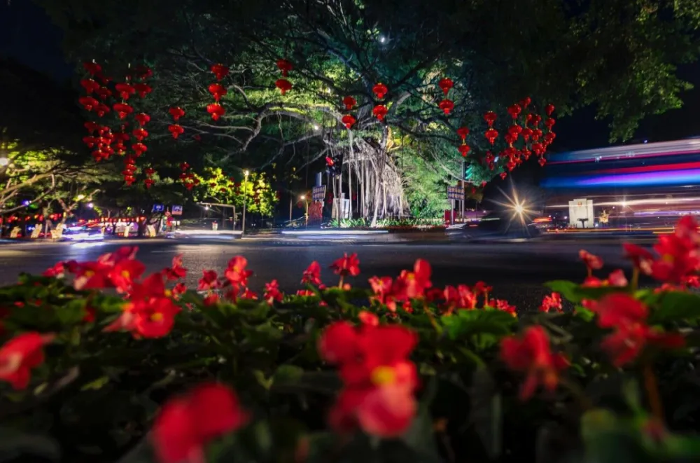 1000003638.webp 1000003638.webp