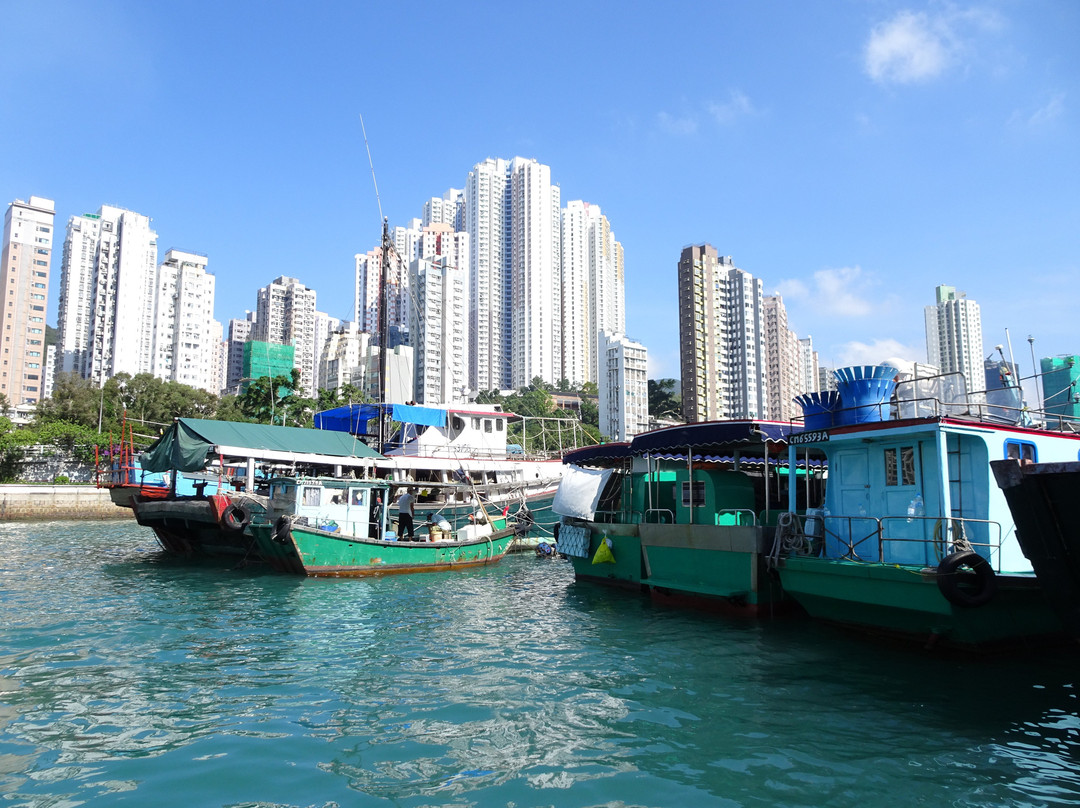 1000003705.jpg 1000003705.jpg