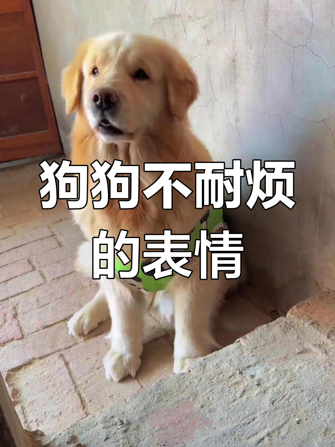 1000003706.png 1000003706.png