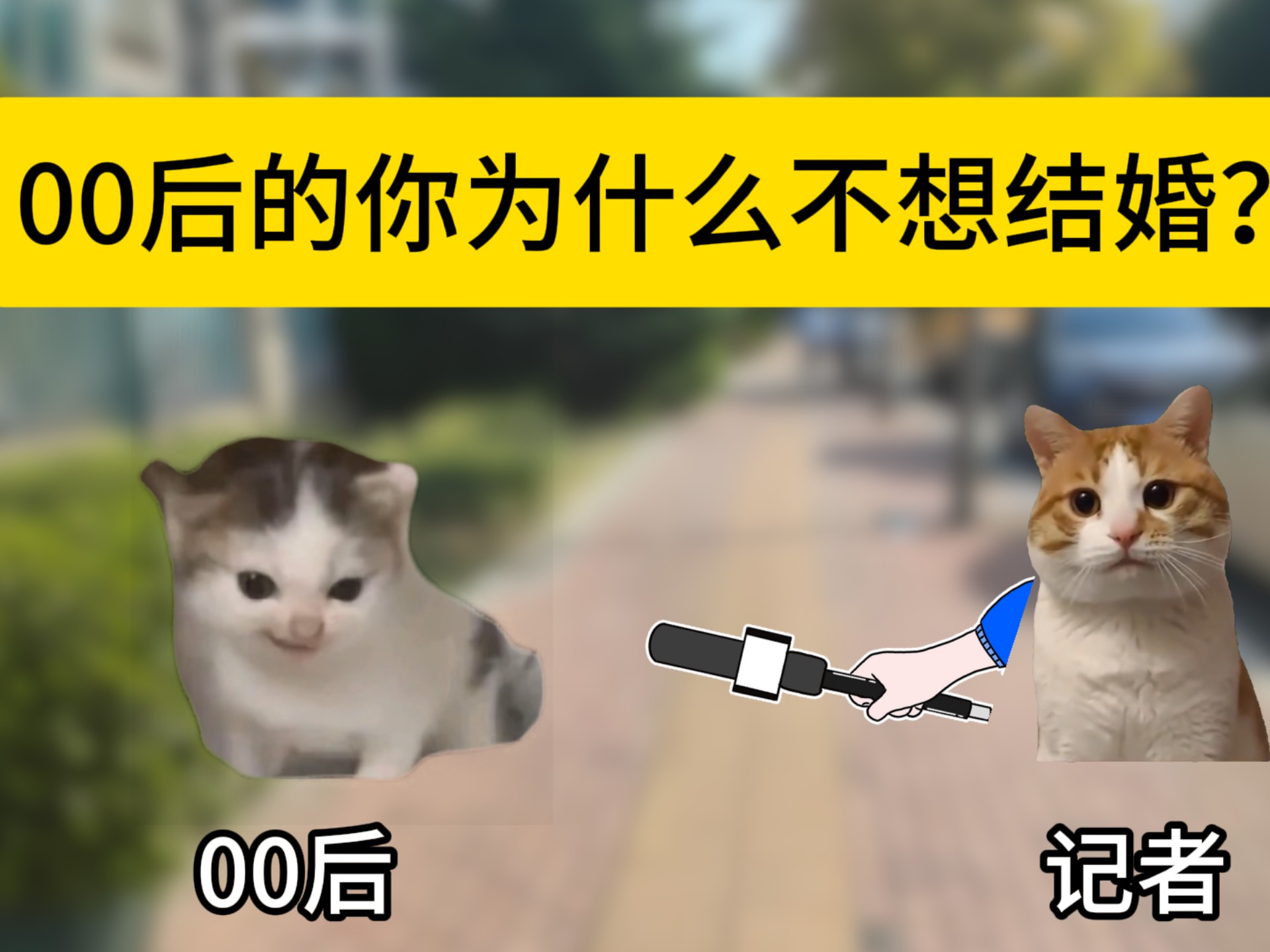 1000003782.jpg 1000003782.jpg