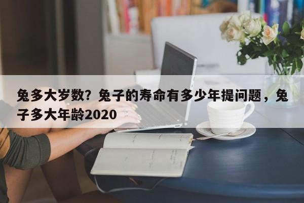 兔多大岁数？兔子的寿命有多少年提问题，兔子多大年龄2020-第1张图片