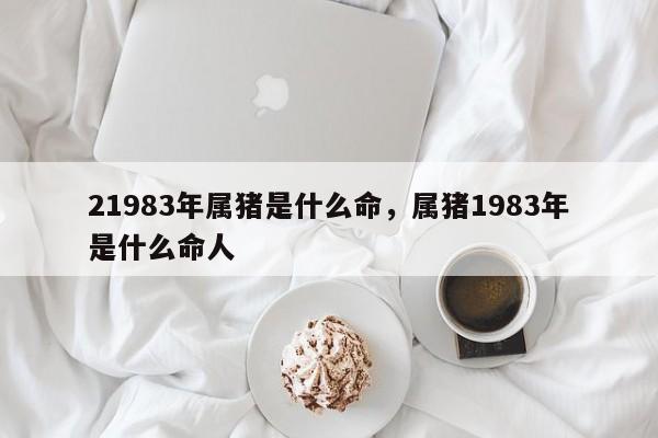21983年属猪是什么命，属猪1983年是什么命人-第1张图片