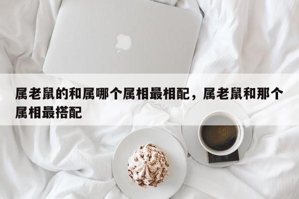 属老鼠的和属哪个属相最相配，属老鼠和那个属相最搭配-第1张图片