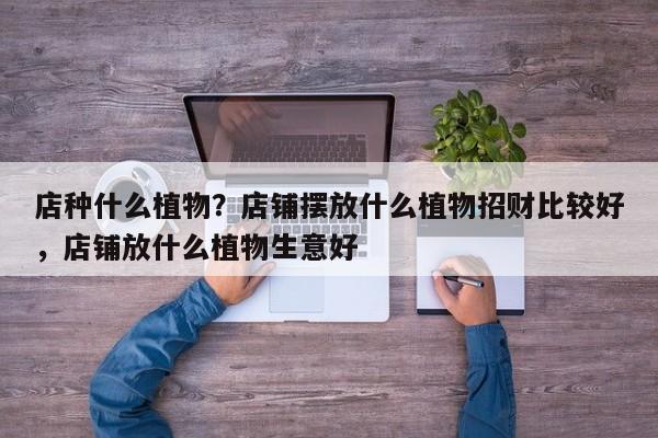 店种什么植物？店铺摆放什么植物招财比较好
，店铺放什么植物生意好-第1张图片