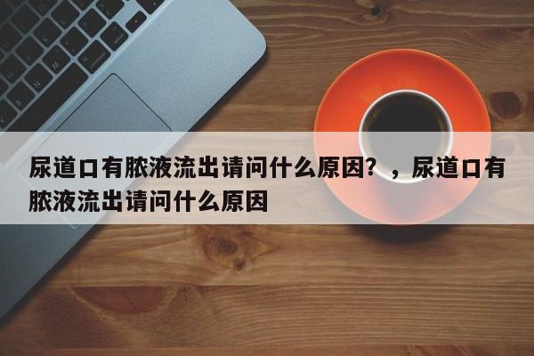 尿道口有脓液流出请问什么原因？，尿道口有脓液流出请问什么原因-第1张图片