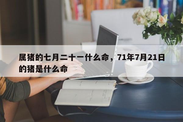 属猪的七月二十一什么命，71年7月21日的猪是什么命-第1张图片