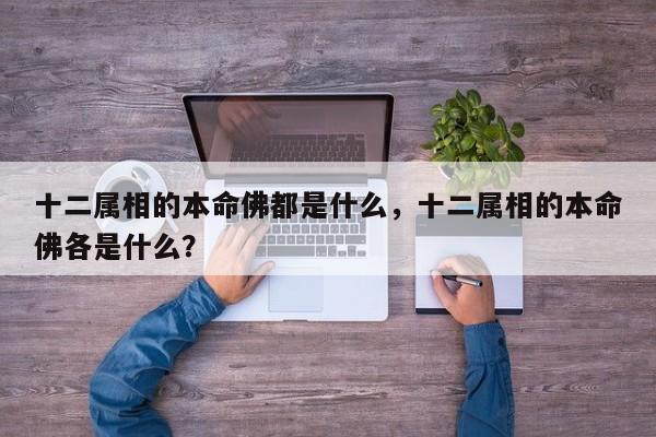 十二属相的本命佛都是什么，十二属相的本命佛各是什么？-第1张图片