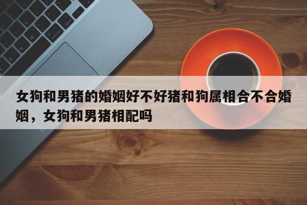 女狗和男猪的婚姻好不好猪和狗属相合不合婚姻，女狗和男猪相配吗-第1张图片