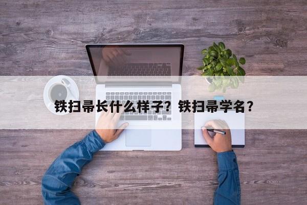 铁扫帚长什么样子？铁扫帚学名？-第1张图片