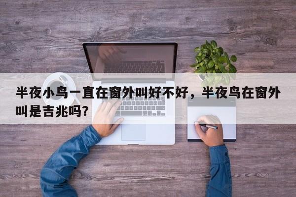 半夜小鸟一直在窗外叫好不好，半夜鸟在窗外叫是吉兆吗？-第1张图片