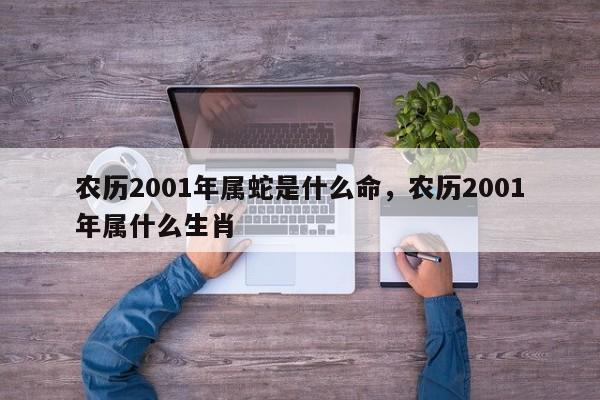农历2001年属蛇是什么命，农历2001年属什么生肖-第1张图片