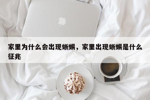 家里为什么会出现蜥蜴，家里出现蜥蜴是什么征兆-第1张图片