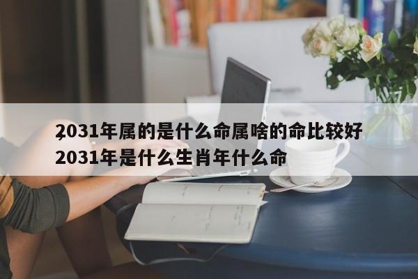 2031年属的是什么命属啥的命比较好
，2031年是什么生肖年什么命-第1张图片