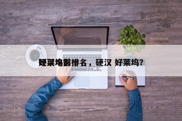 好莱坞前十
硬汉电影排名，硬汉 好莱坞？-第1张图片