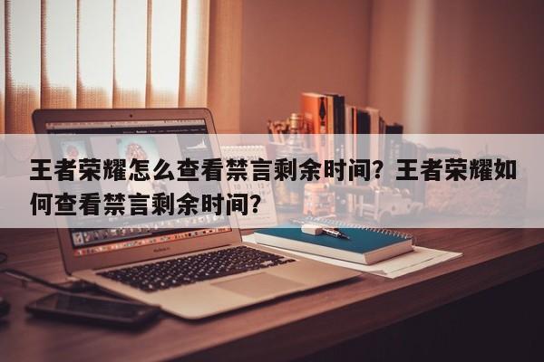 王者荣耀怎么查看禁言剩余时间？王者荣耀如何查看禁言剩余时间？-第1张图片