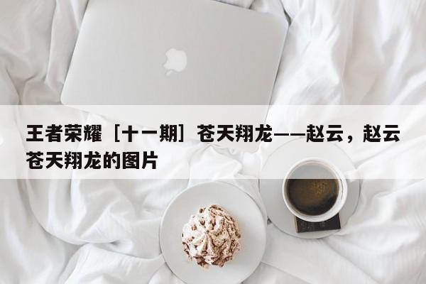 王者荣耀［十一期］苍天翔龙——赵云，赵云苍天翔龙的图片-第1张图片