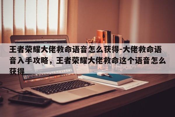 王者荣耀大佬救命语音怎么获得-大佬救命语音入手攻略，王者荣耀大佬救命这个语音怎么获得-第1张图片