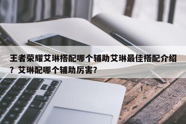 王者荣耀艾琳搭配哪个辅助艾琳最佳搭配介绍？艾琳配哪个辅助厉害？-第1张图片