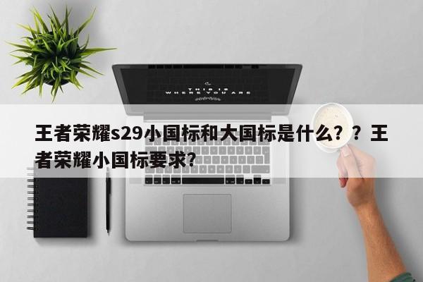 王者荣耀s29小国标和大国标是什么？？王者荣耀小国标要求？-第1张图片